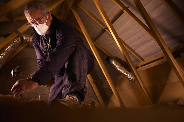Best Professional Insulation Contractor  in Great Falls Crossing, VA